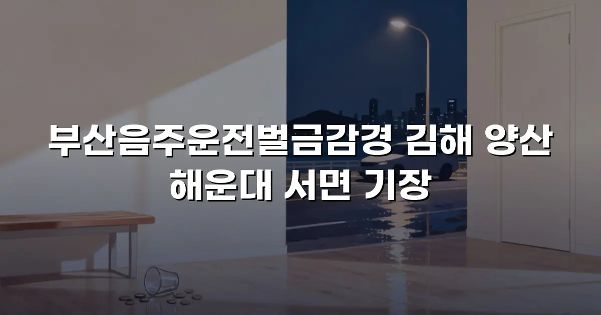 부산음주운전벌금감경 김해 양산 해운대 서면 기장