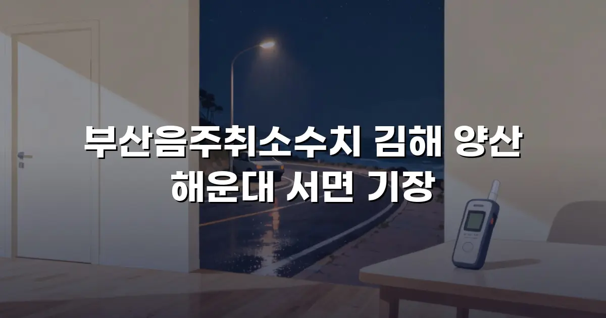 부산음주취소수치 김해 양산 해운대 서면 기장