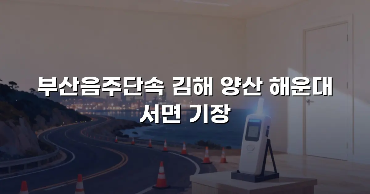 부산음주단속 김해 양산 해운대 서면 기장