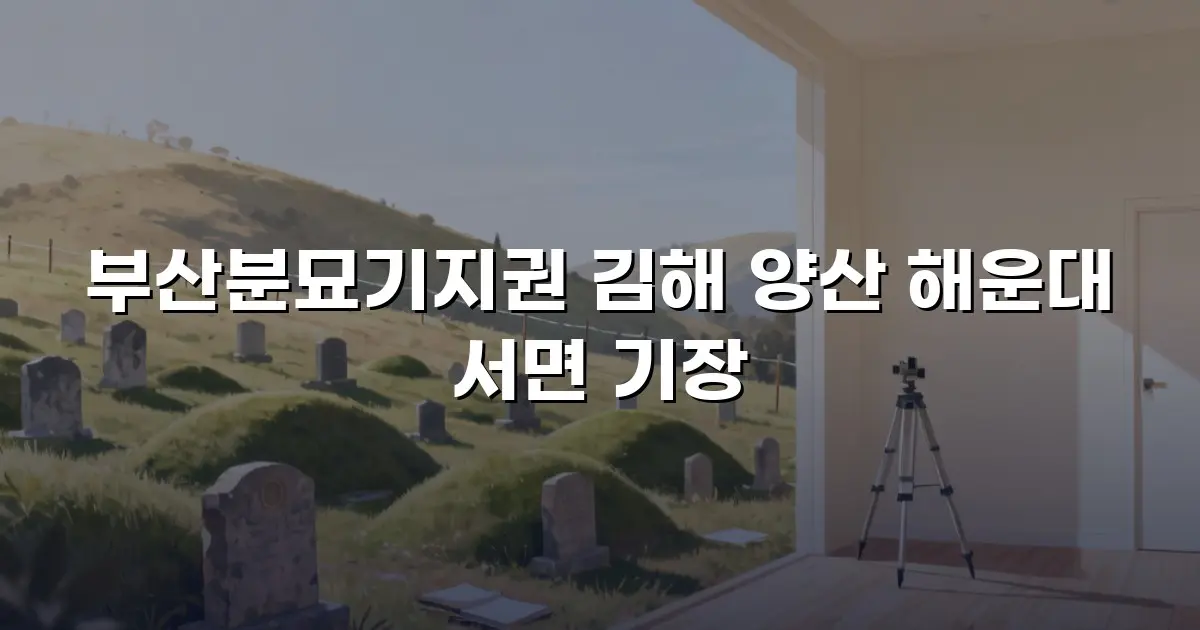 부산분묘기지권 김해 양산 해운대 서면 기장