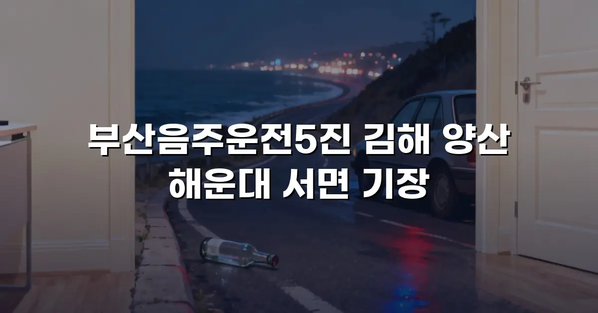 부산음주운전5진 김해 양산 해운대 서면 기장
