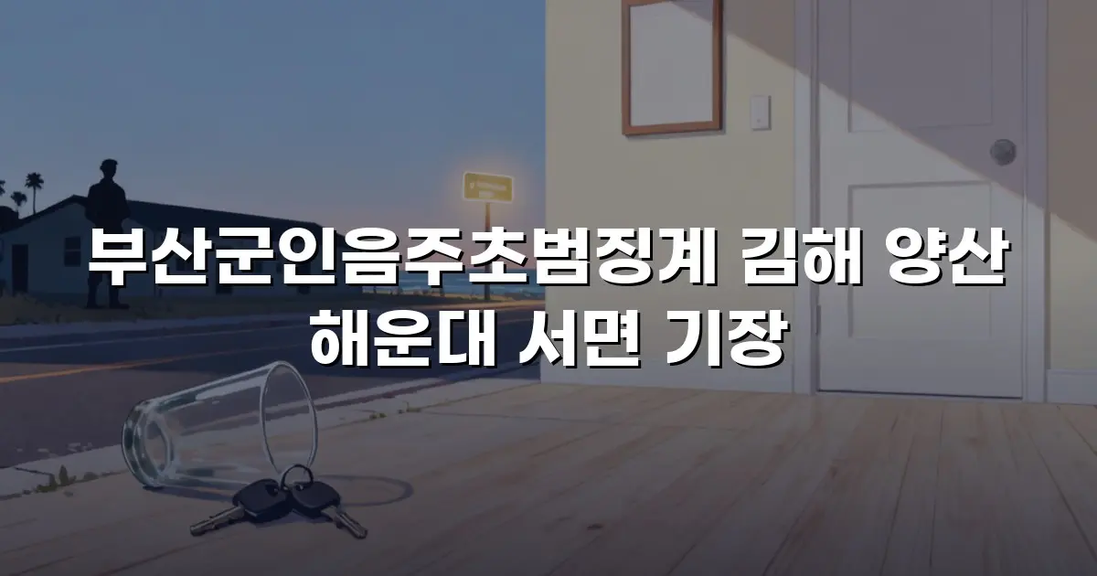부산군인음주초범징계 김해 양산 해운대 서면 기장