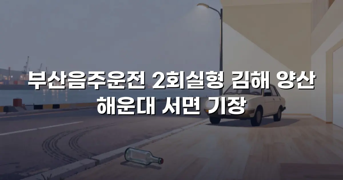 부산음주운전 2회실형 김해 양산 해운대 서면 기장