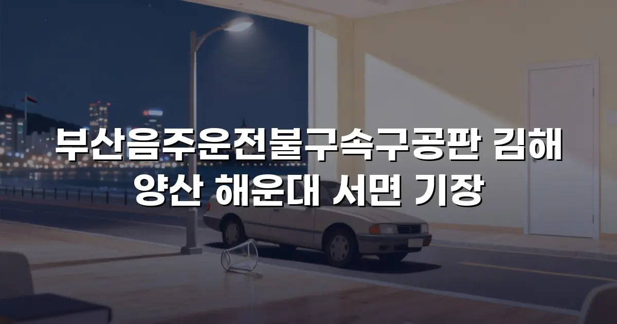 부산음주운전불구속구공판 김해 양산 해운대 서면 기장