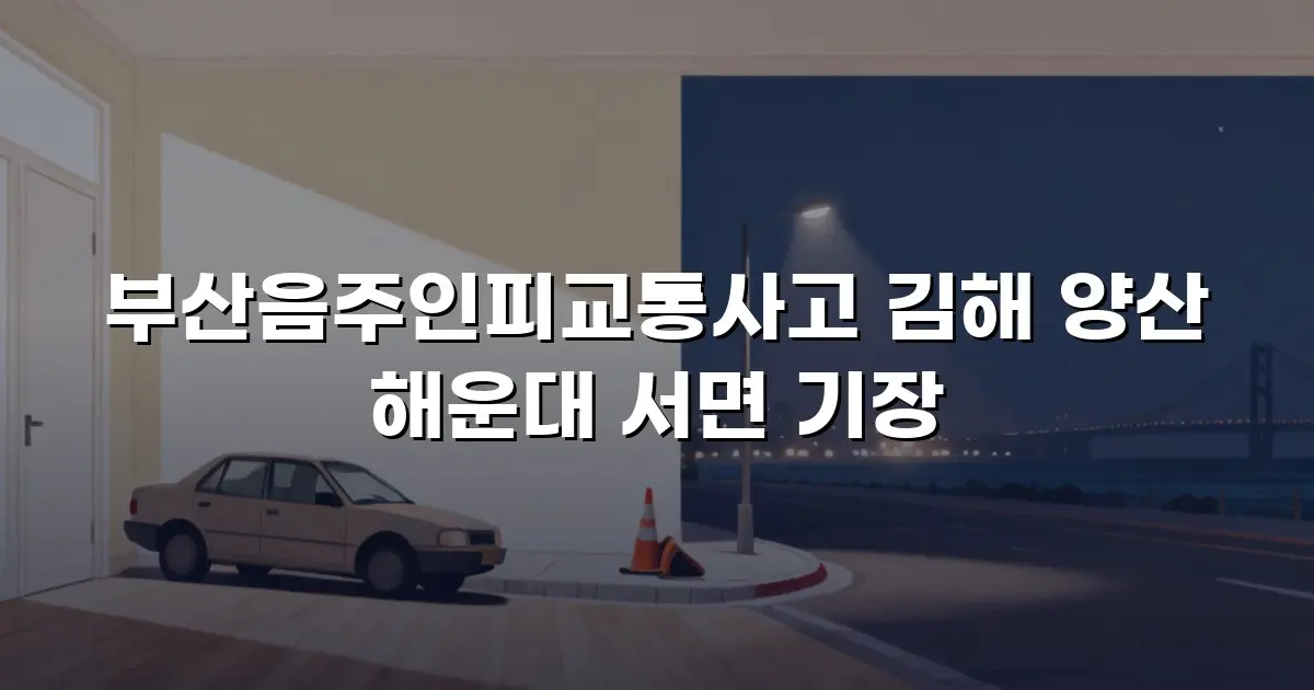부산음주인피교통사고 김해 양산 해운대 서면 기장