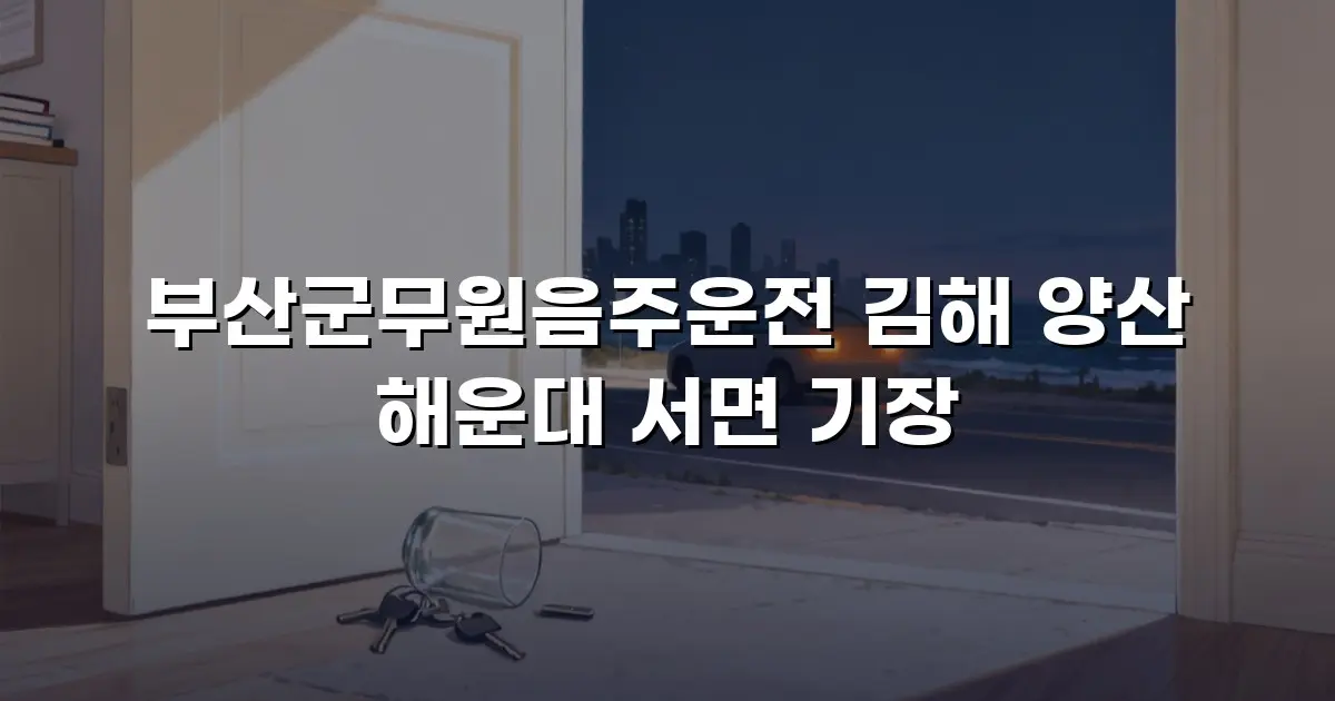 부산군무원음주운전 김해 양산 해운대 서면 기장