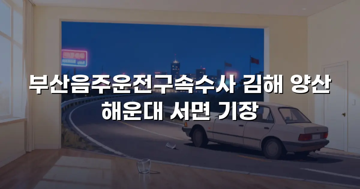 부산음주운전구속수사 김해 양산 해운대 서면 기장