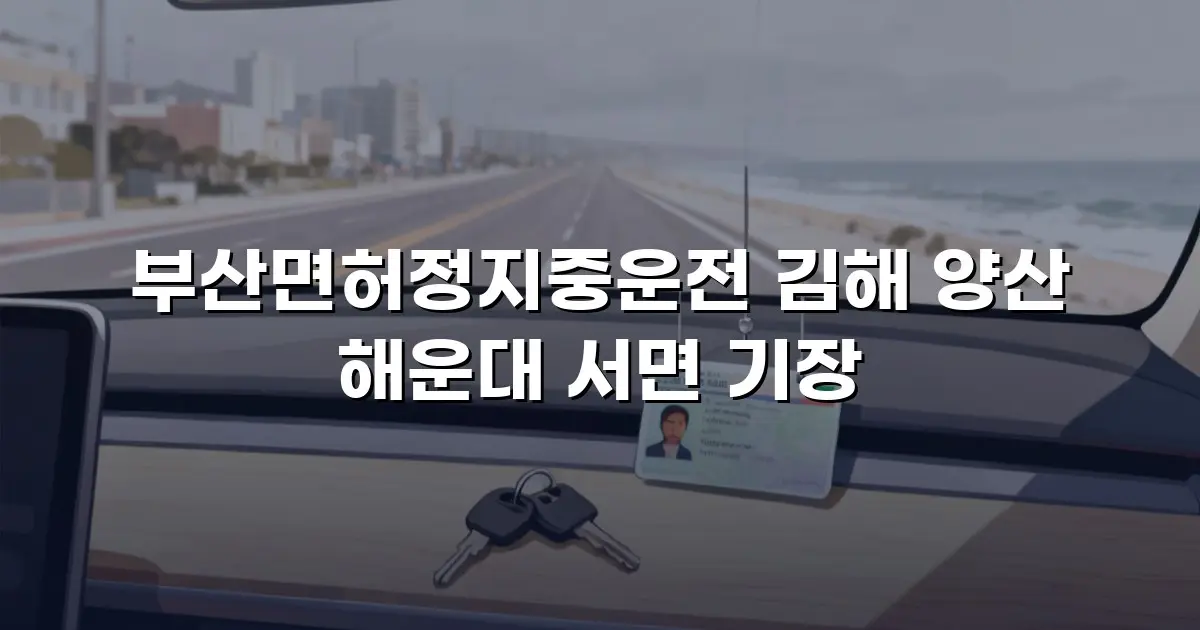 부산면허정지중운전 김해 양산 해운대 서면 기장
