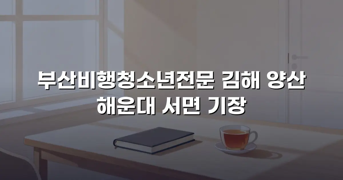 부산비행청소년전문 김해 양산 해운대 서면 기장