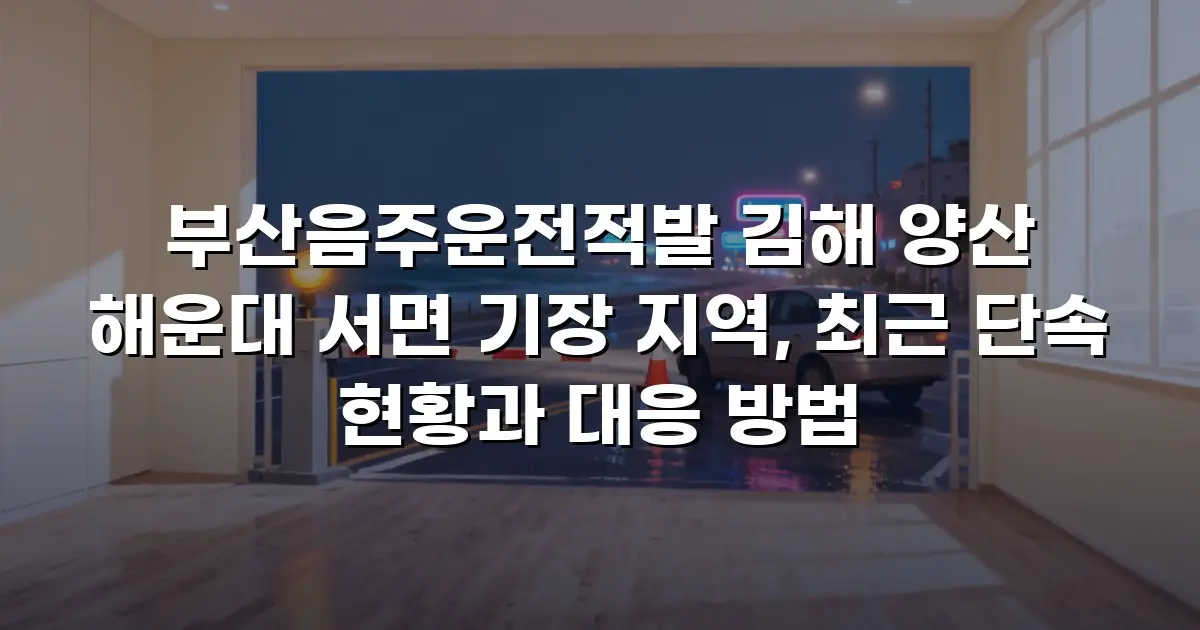 부산음주운전적발 김해 양산 해운대 서면 기장 지역, 최근 단속 현황과 대응 방법