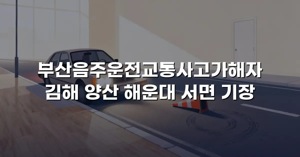 부산음주운전교통사고가해자 김해 양산 해운대 서면 기장