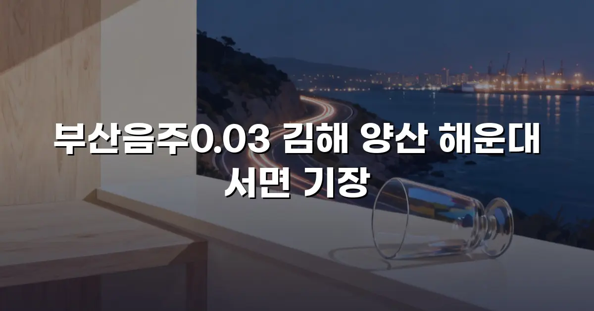부산음주0.03 김해 양산 해운대 서면 기장