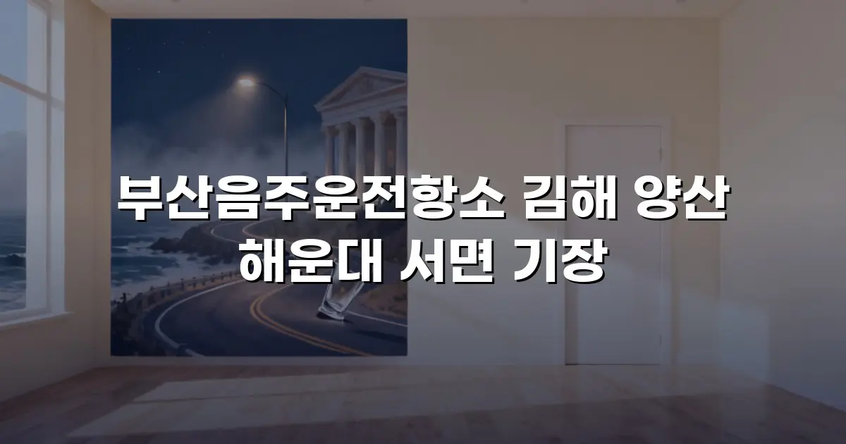 부산음주운전항소 김해 양산 해운대 서면 기장