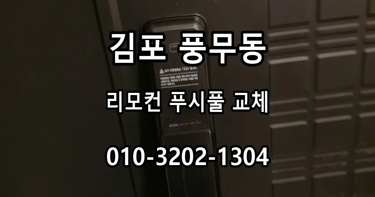 풍무동 풍무자이2단지 도어락 교체, 리모컨 연동 푸시풀을 선택한 이유