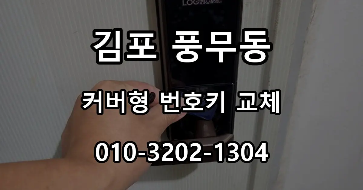 김포 풍무동 열쇠 부모님댁 커버형 버튼 번호키 고장 교체