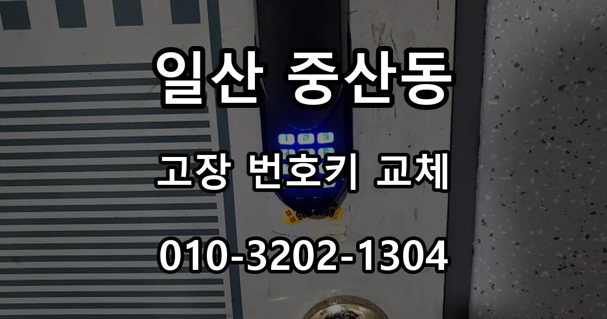 일산 중산동 열쇠 빌라 번호키 고장, 커버형 도어락 교체