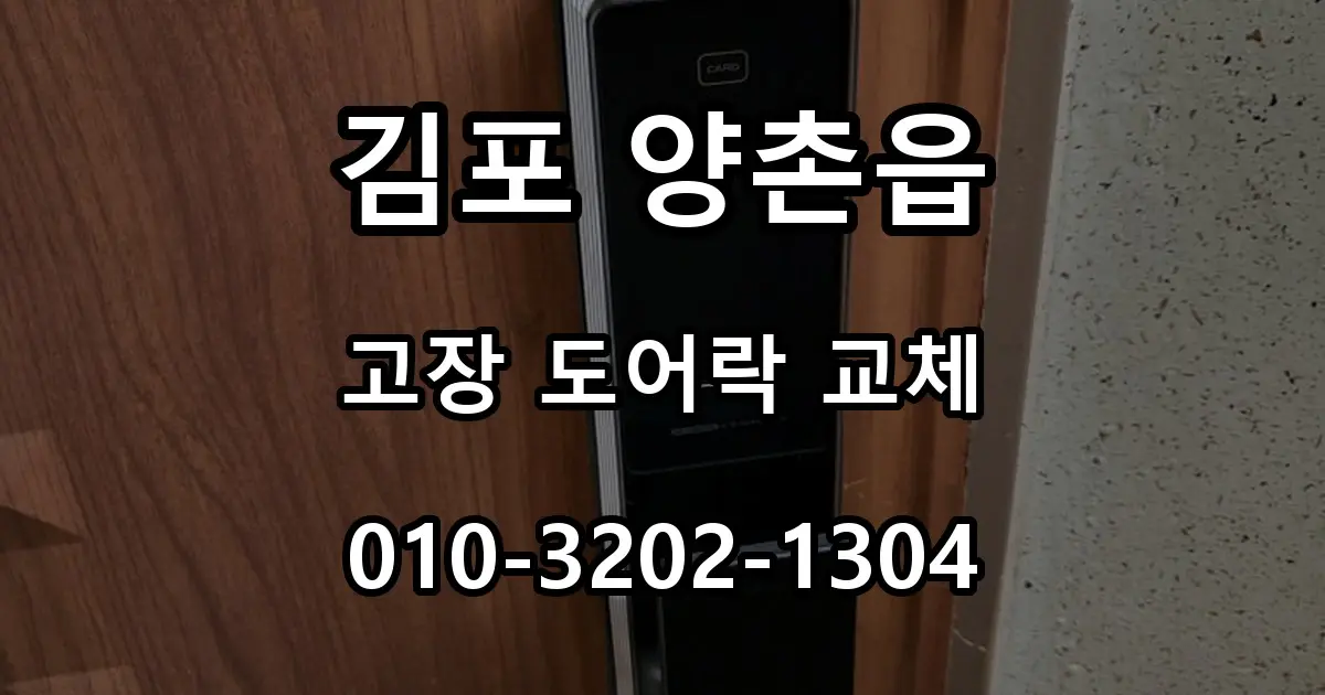 김포 양촌읍 열쇠 자가설치 도어락 고장, 푸시풀 번호키 교체