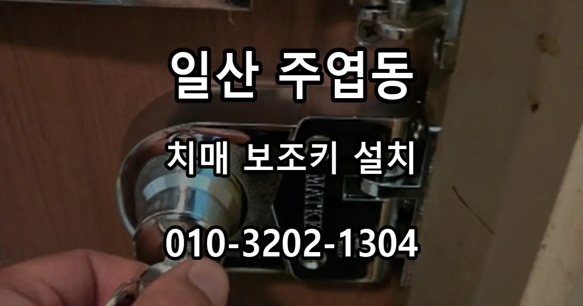 주엽동 치매 보조키 설치, 실내외 열쇠 잠금 시공