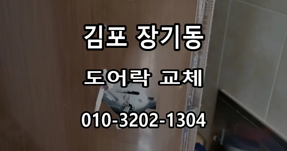 장기동 빌라 도어락 교체, 하이브리드 손잡이 일체형을 선택한 이유