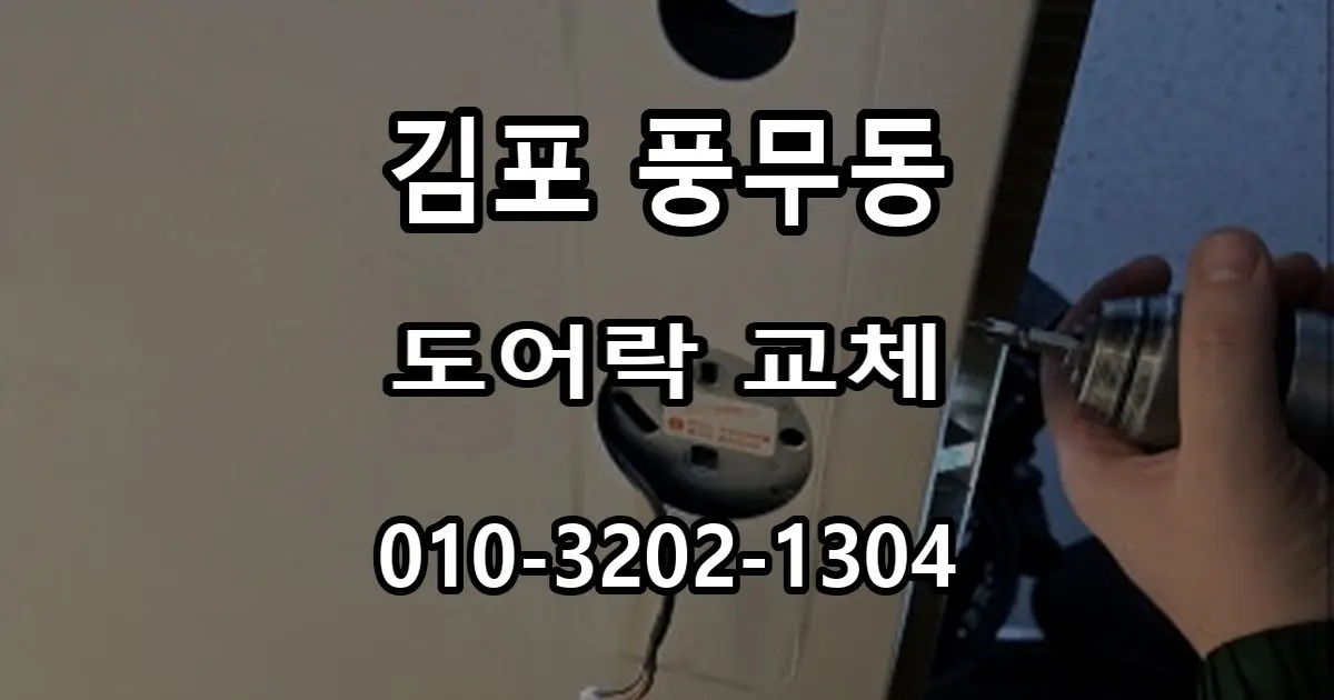 풍무동 도어락 교체, 라오나크 키인 즉시잠김형을 선택한 이유
