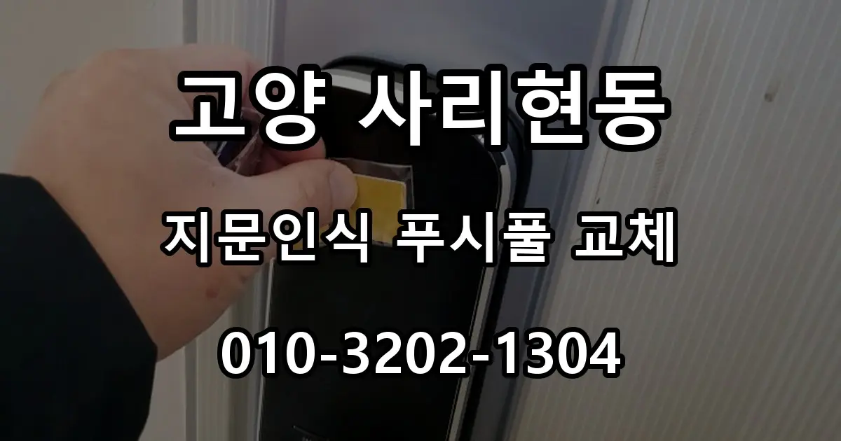 고양 사리현동 열쇠 지문인식 푸시풀 도어락 교체, 보강판 시공