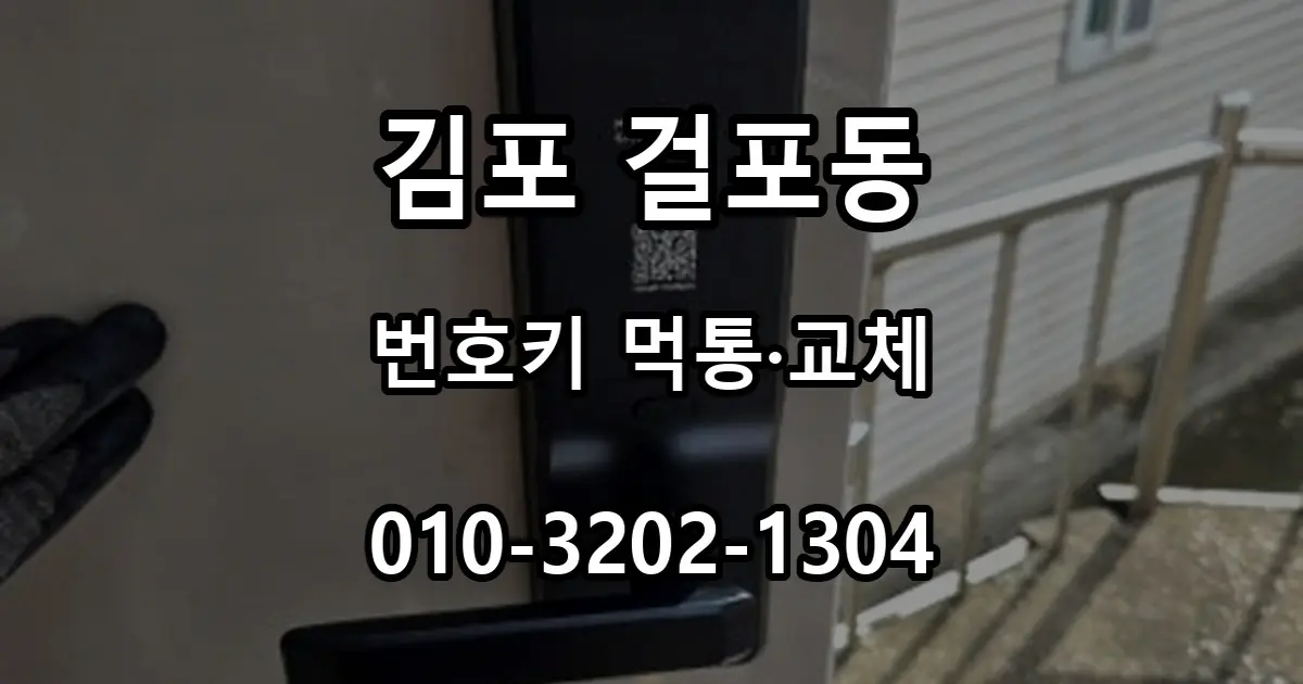 걸포동 번호키 먹통, 마스터즈 5500S 무타공 교체