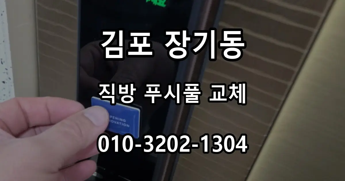 장기동 우남퍼스트빌 이지온 번호키 고장, 직방 푸시풀 교체 과정