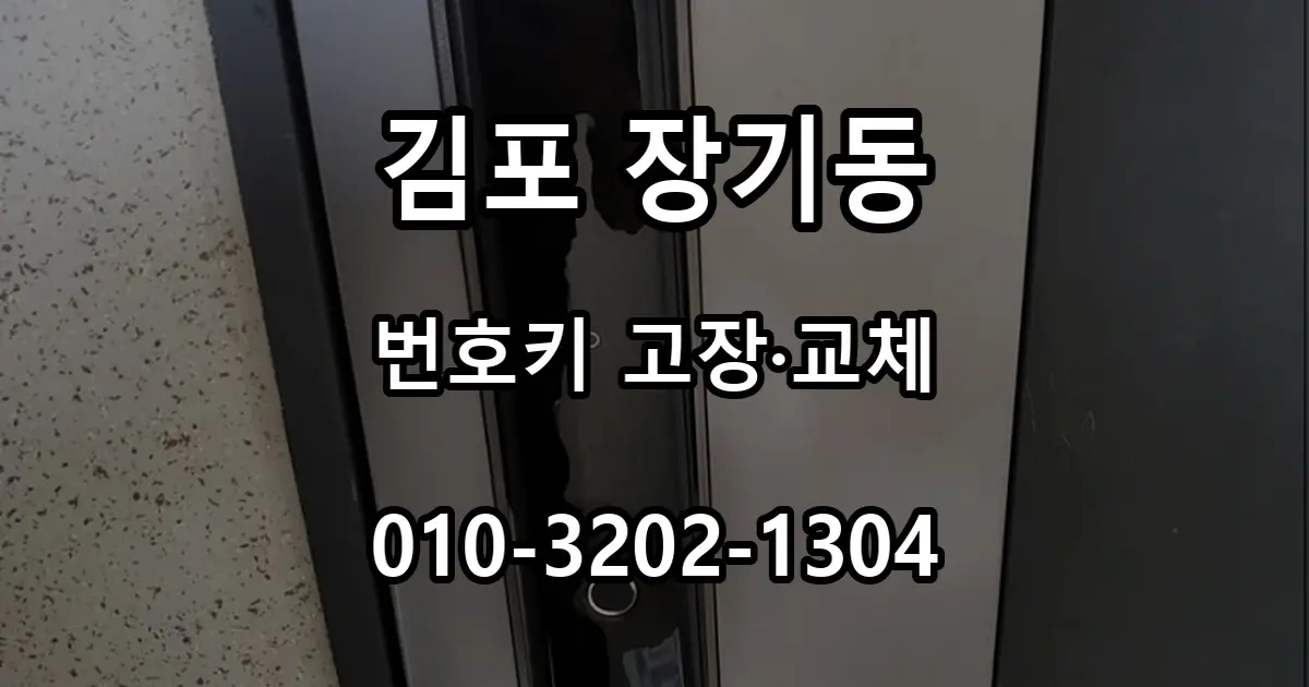 장기동 도어락 교체, 번호키 고장 후 라오나크 즉시잠김형을 선택한 이유
