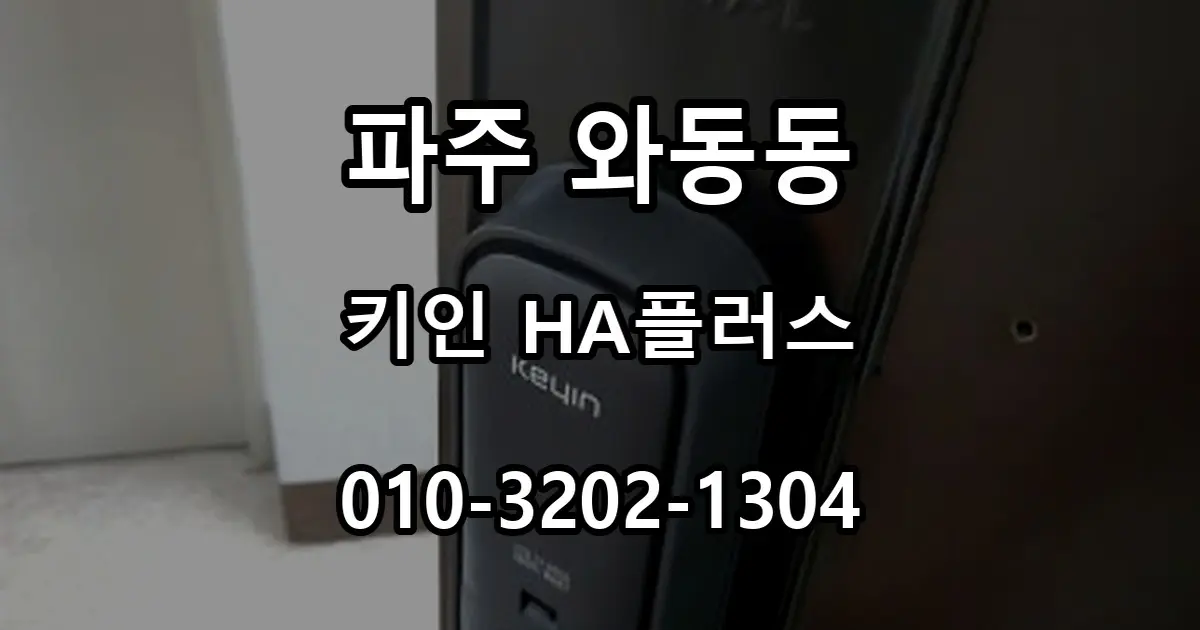 와동동 라오나크 키인 HA플러스 지문인식 도어락 시공
