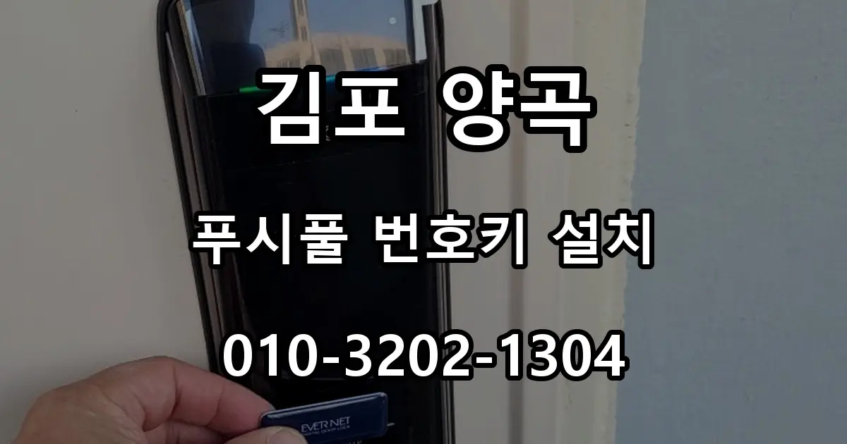 김포 양곡 열쇠 새 현관문 푸시풀 번호키 설치, 카드키 도어락