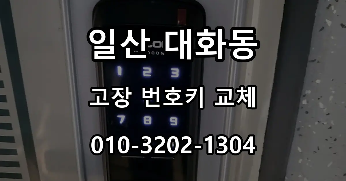 일산 대화동 열쇠 단종 번호키 고장, 터치형 도어락 교체