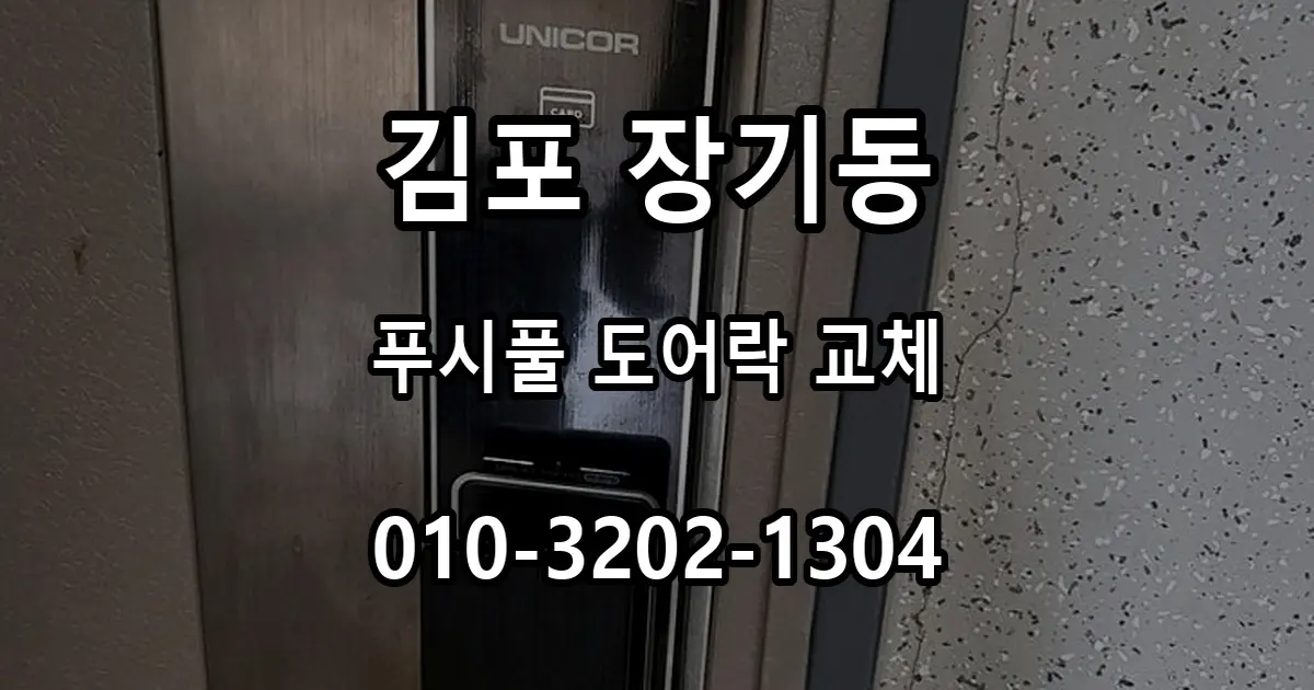 장기동 도어락 교체, 푸시풀 제품 선택 전 확인사항