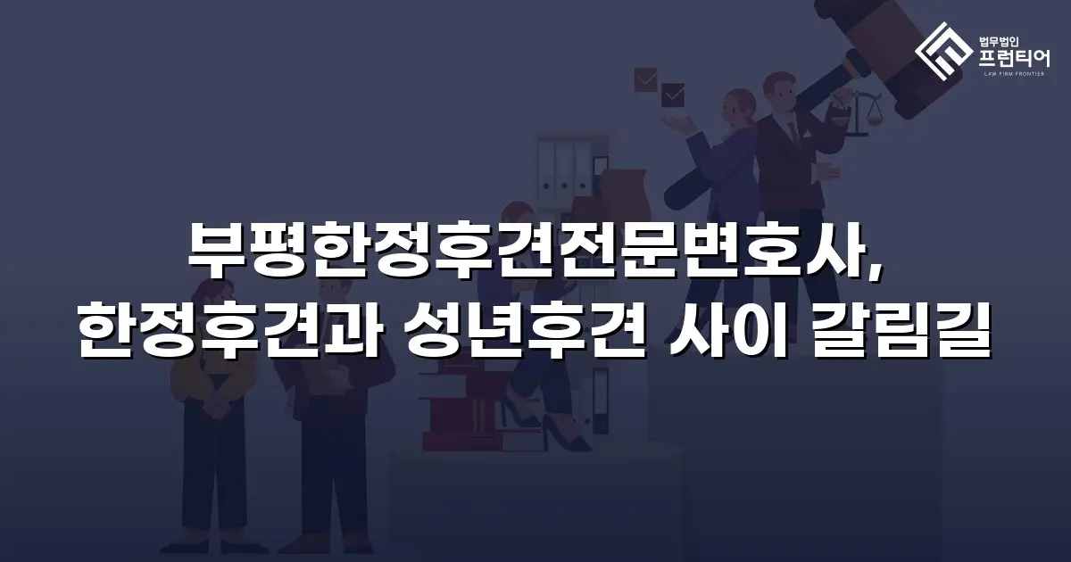 부평한정후견전문변호사, 한정후견과 성년후견 사이 갈림길