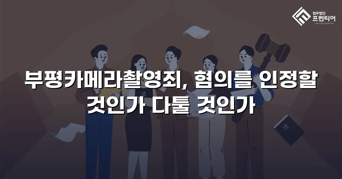 부평카메라촬영죄, 혐의를 인정할 것인가 다툴 것인가
