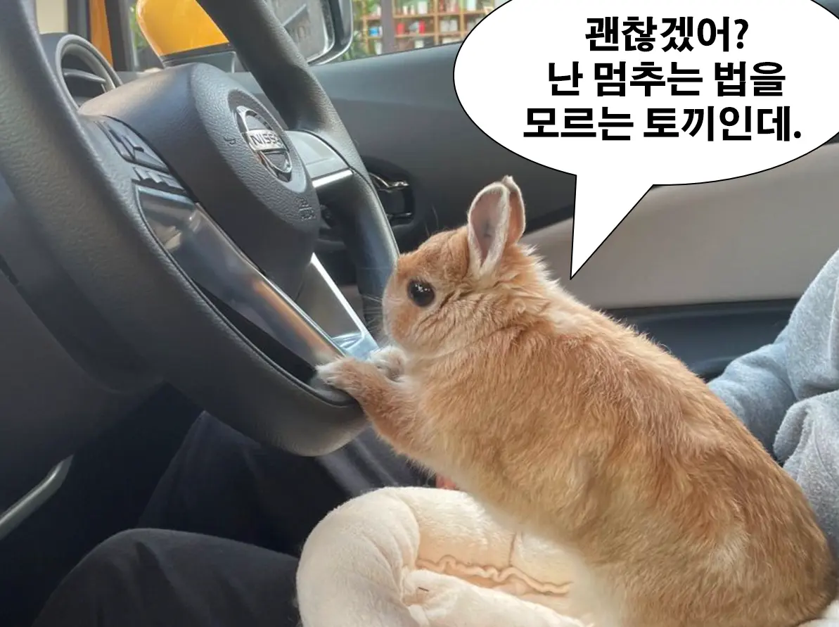 🌱 함께 자라기 — 성장하는 구성원을 위한 맞춤 복지 성장기