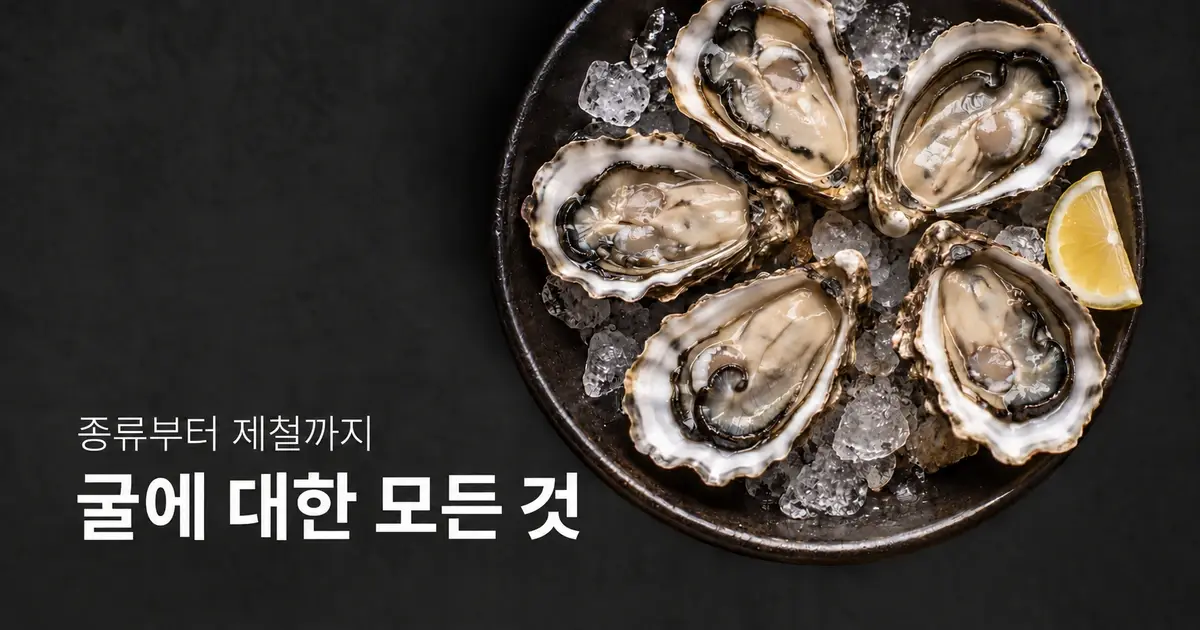 해외에선 비싼 굴, 한국에선 왜 저렴할까? 종류·제철·안전하게 먹는 법