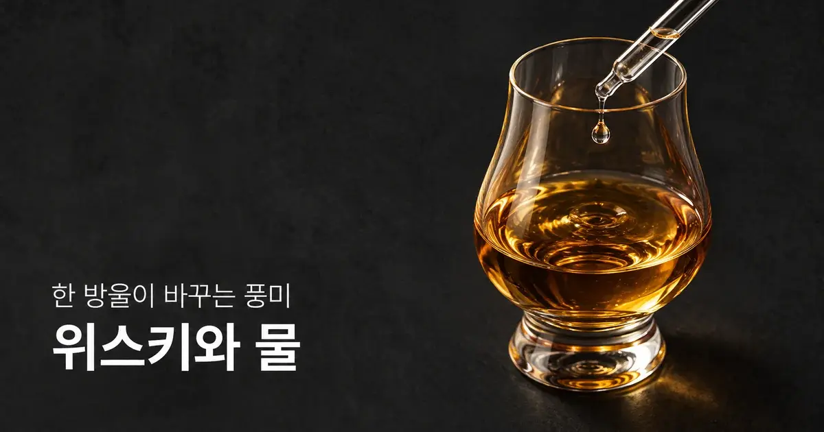 위스키에 물을 왜 넣지? 한 눈에 보는 양주 차이와 물 한 방울의 과학까지
