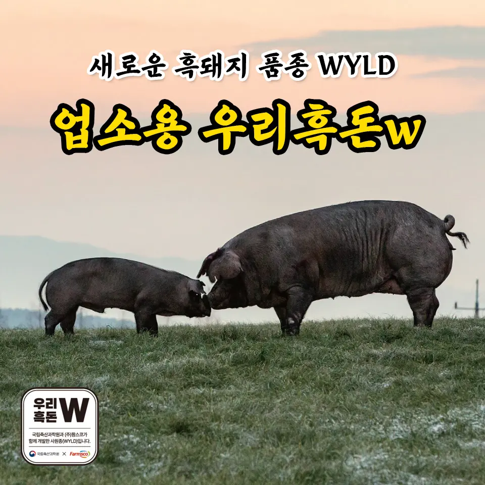 업소용고기냉장고가격 견적 비교 전 놓치기 쉬운 비용