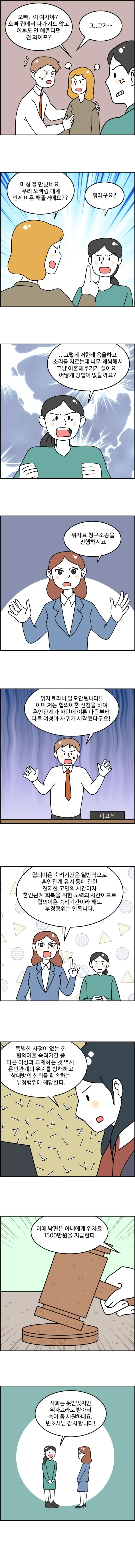 41화 [협의이혼 중 부정행위 위자료 지급②]
