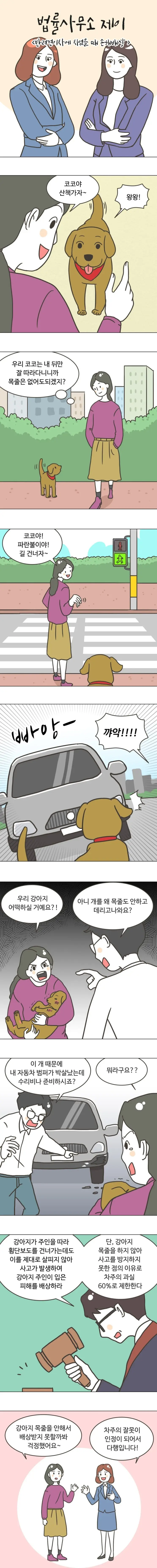 30화 [반려견이 차에 치였을 때 손해배상]