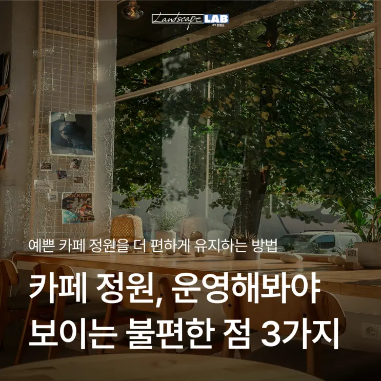 카페 정원 관리가 어려운 이유, 운영 후 알게 되는 카페 조경 3가지