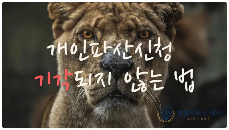 개인파산 신청이 기각되는 이유 5가지와 대응방법