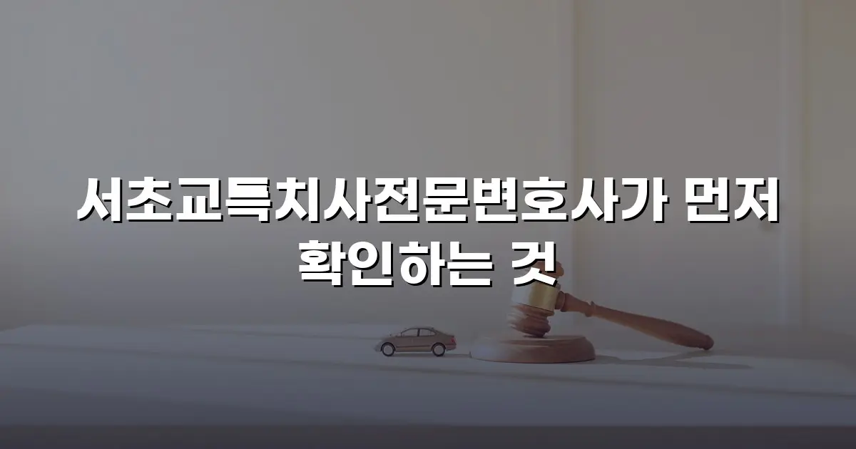 서초교특치사전문변호사가 먼저 확인하는 것