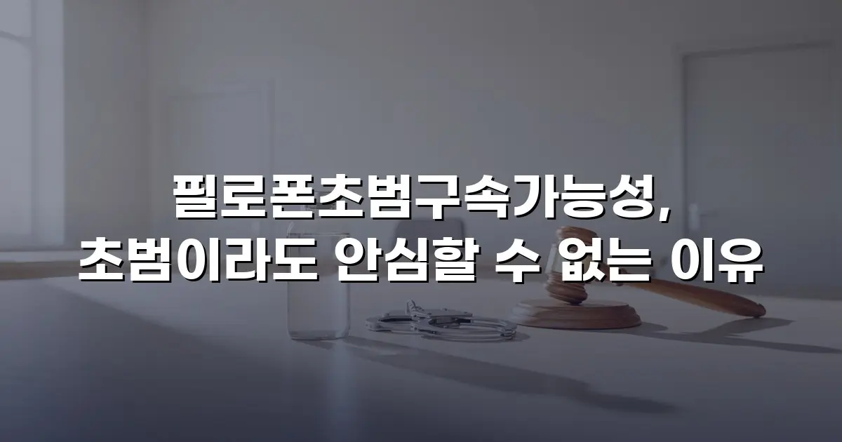 필로폰초범구속가능성, 초범이라도 안심할 수 없는 이유