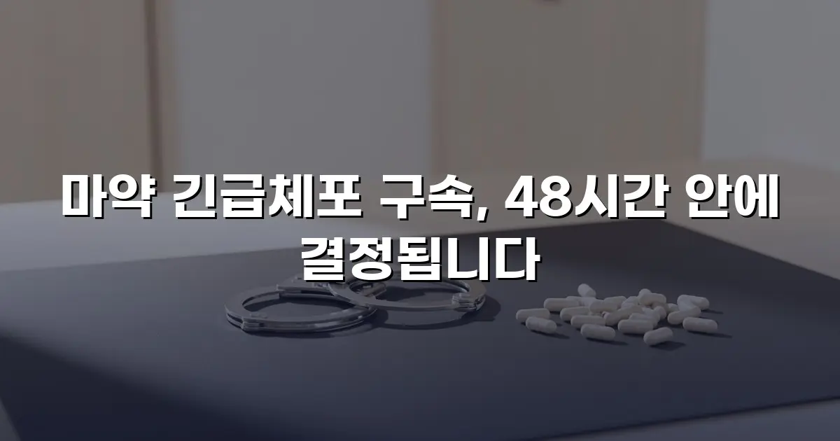 마약 긴급체포 구속, 48시간 안에 결정됩니다