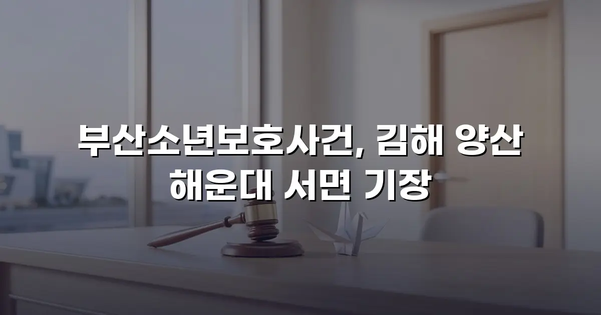 부산소년보호사건, 김해 양산 해운대 서면 기장