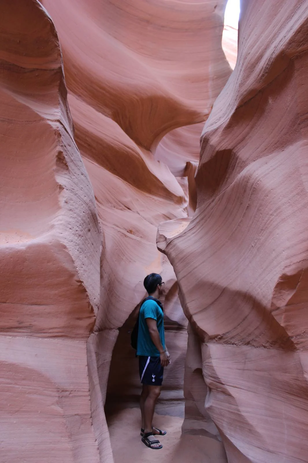 미국 애리조나&nbsp;(설문참여 사미 제공)