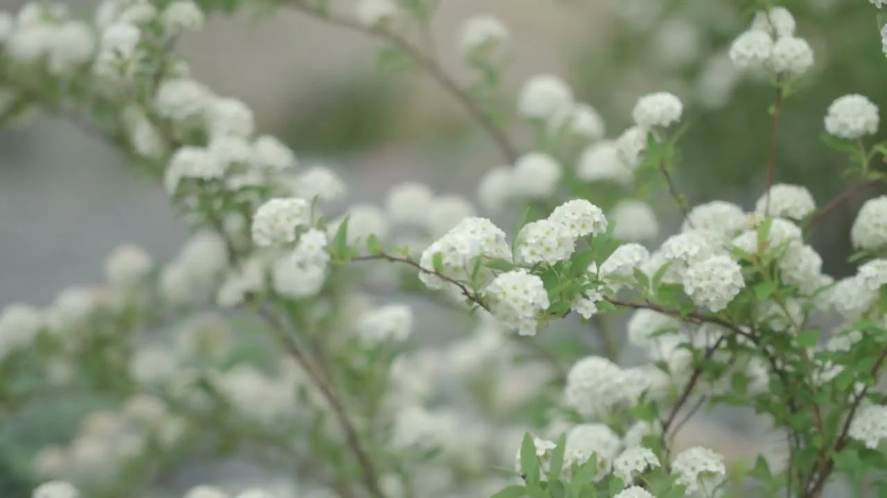 합정 별감정원 프로젝트(with MSA)