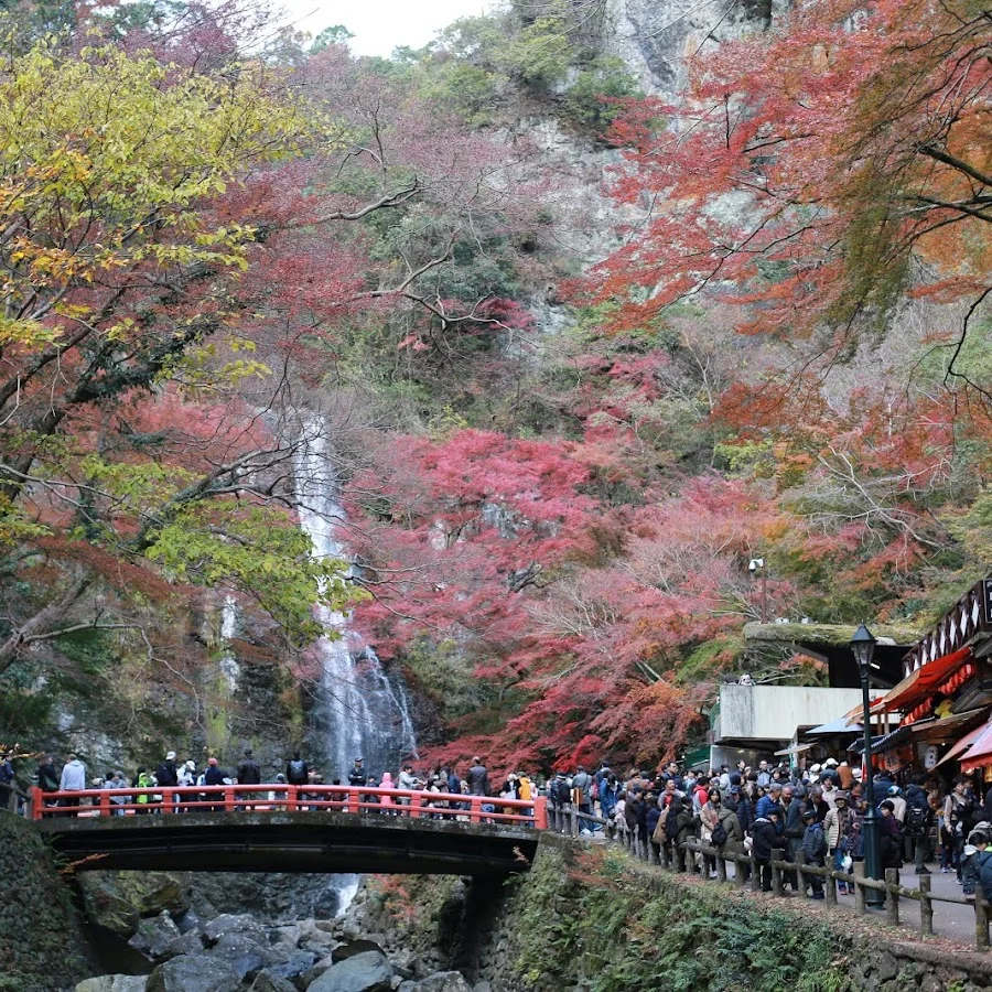 Minoh National Park · 1-18 Minookoen, Minoh, Osaka 562-0002, Japan