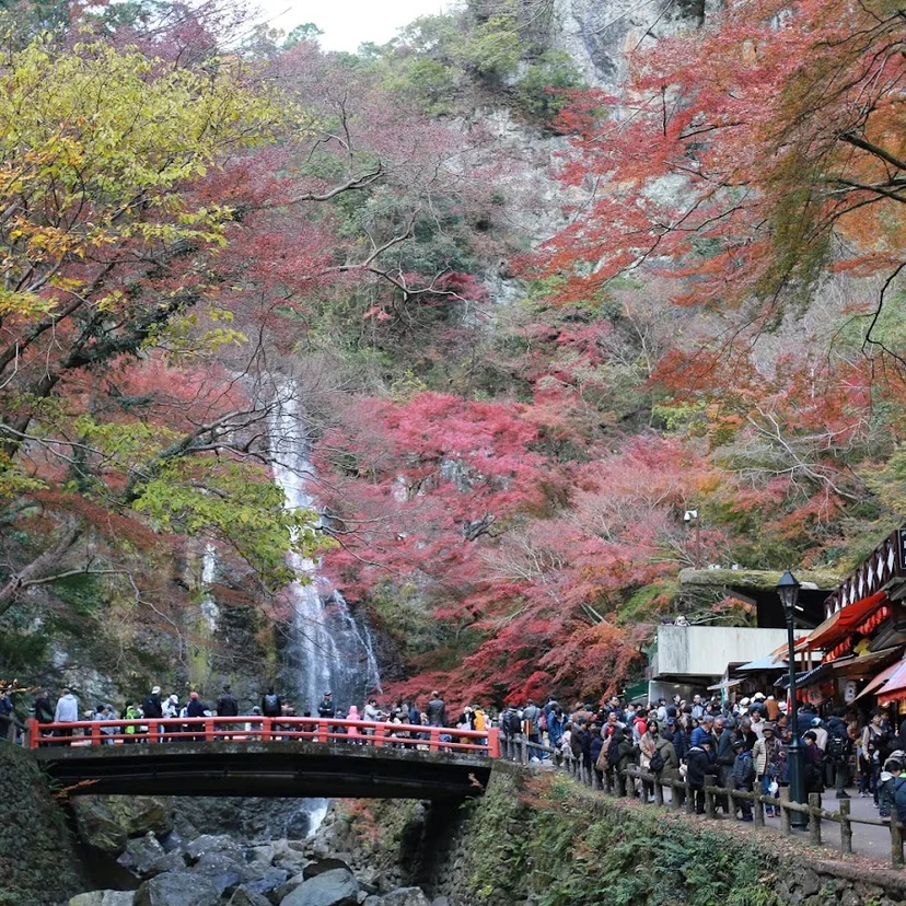 Minoh National Park · 1-18 Minookoen, Minoh, Osaka 562-0002, Japan